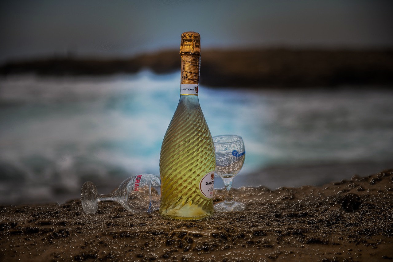 sea wine life goes on free photo