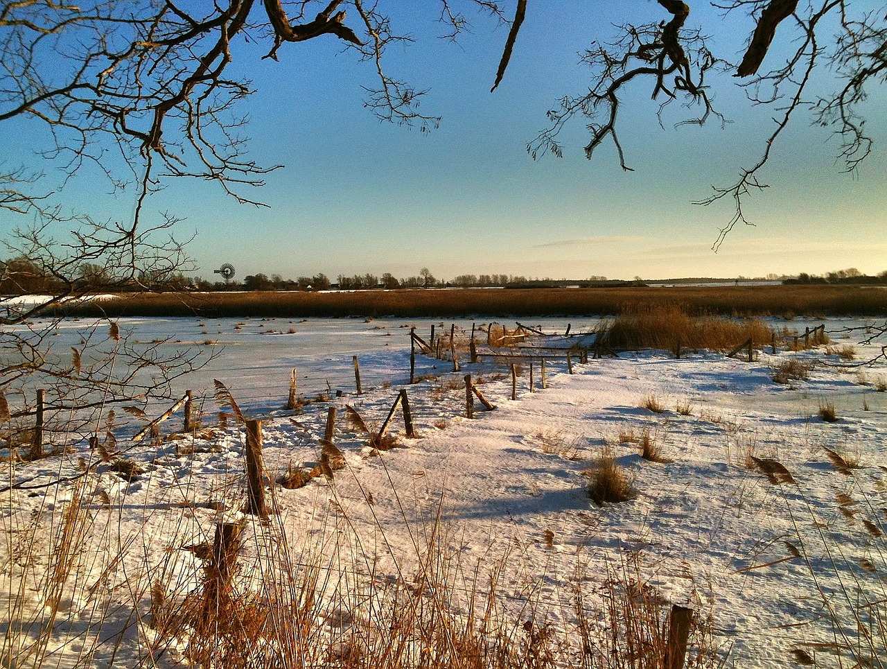 sea beach winter free photo