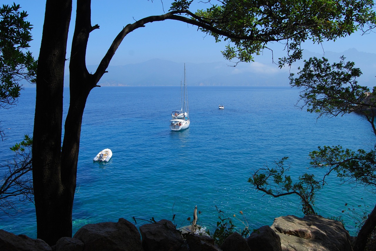 sea sailing boat corsica free photo