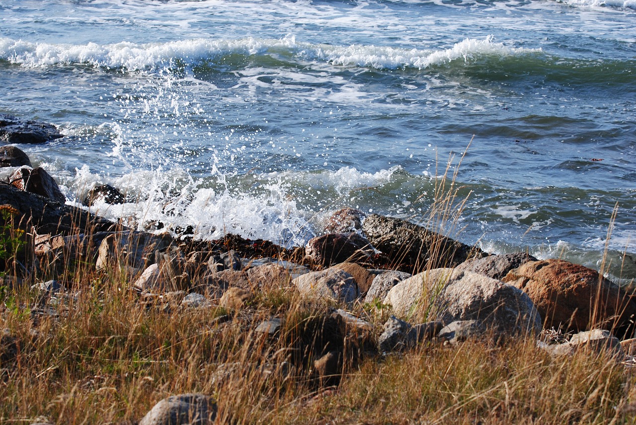 sea waves shore free photo