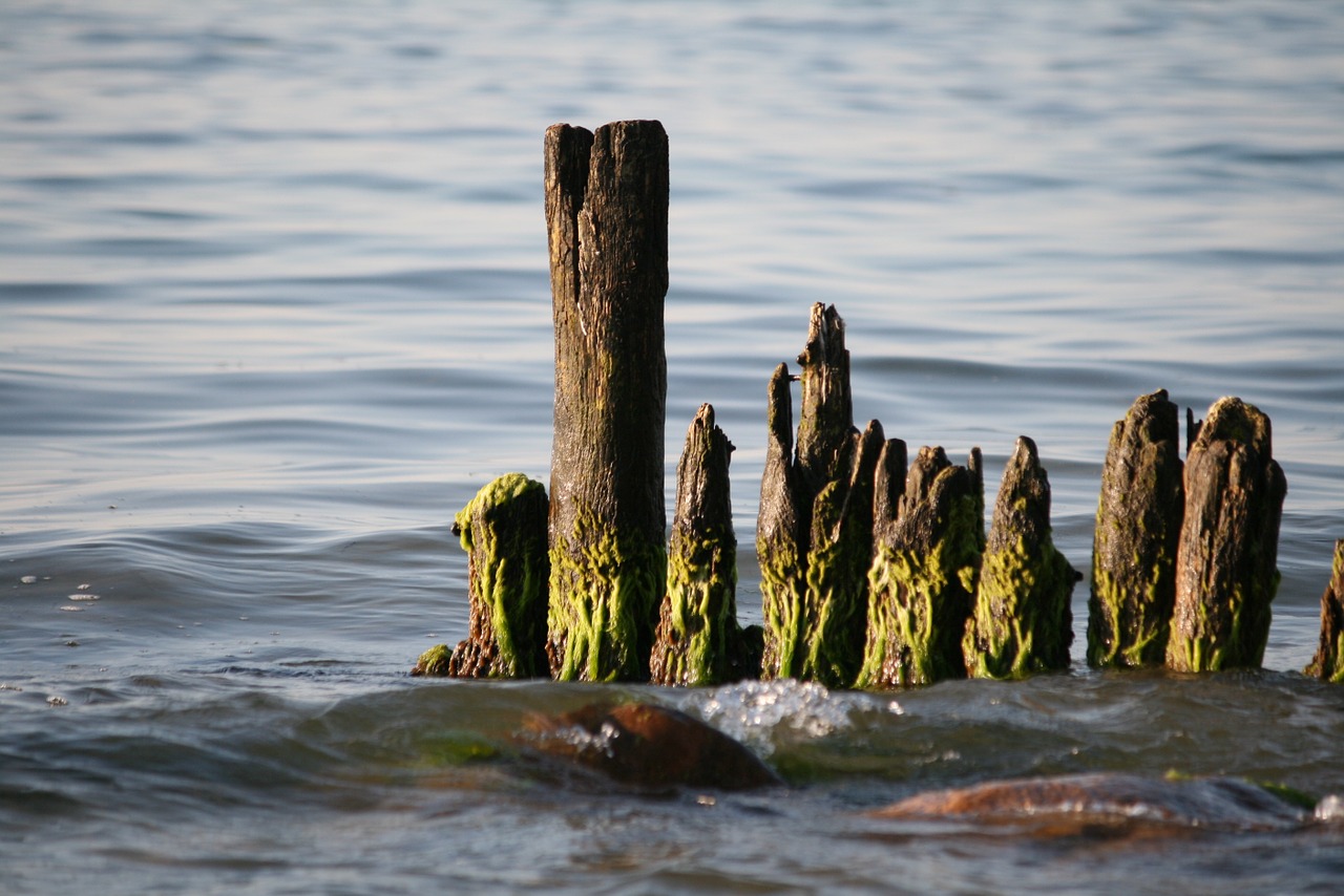 sea wooden ocean free photo