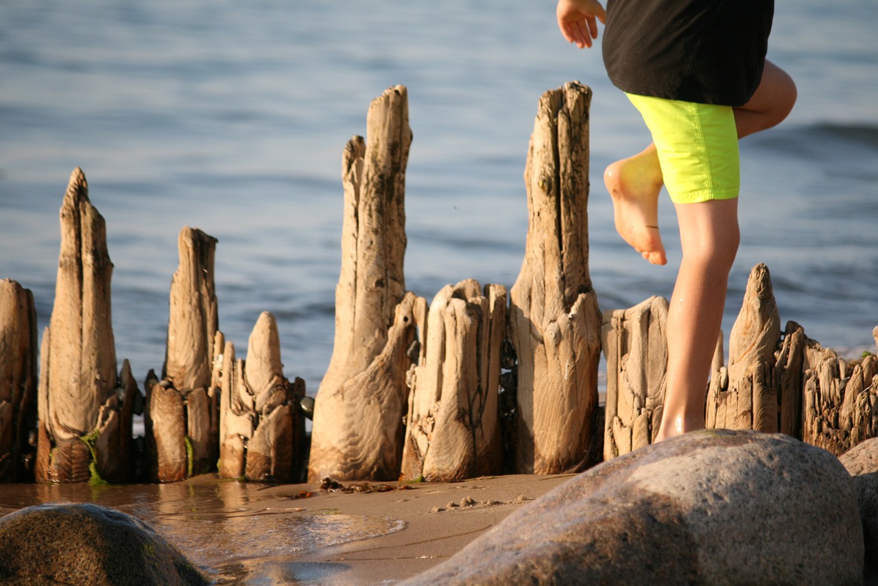 sea wooden play free photo