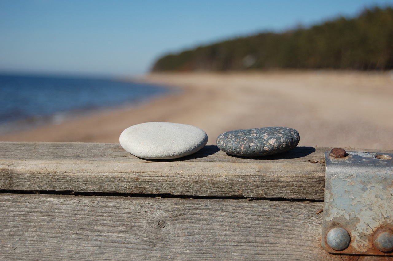 sea sand beach free photo