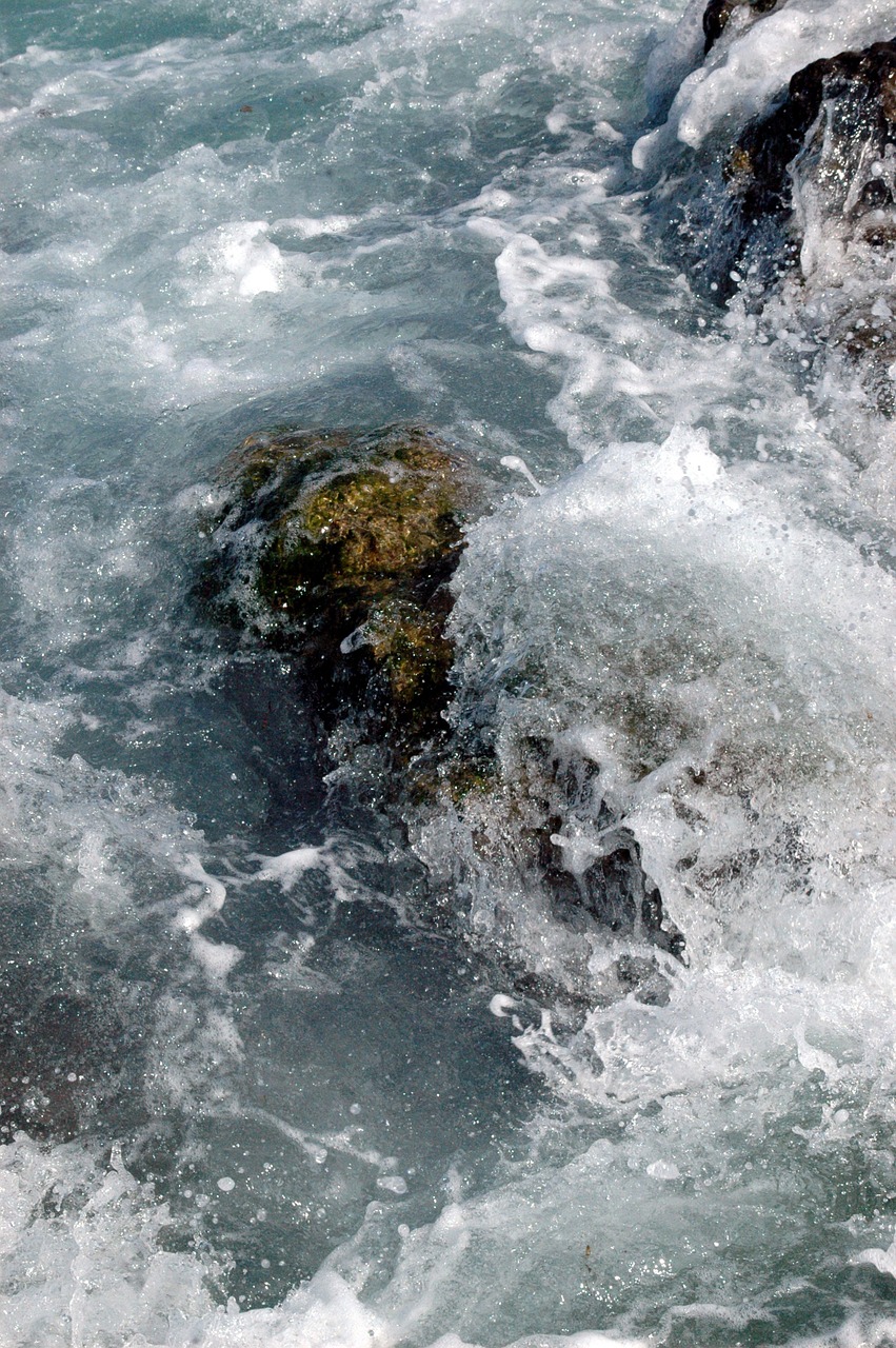 sea foam waves free photo