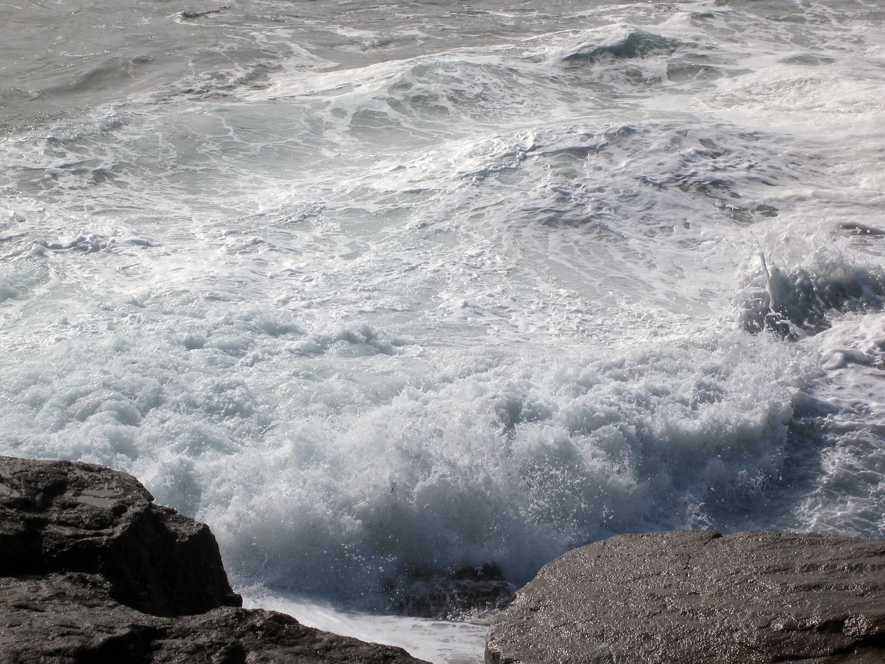 sea side wild coast free photo