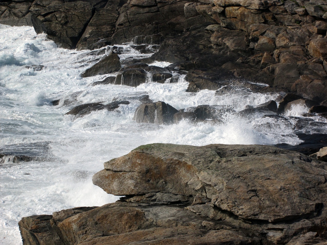 sea side wild coast free photo