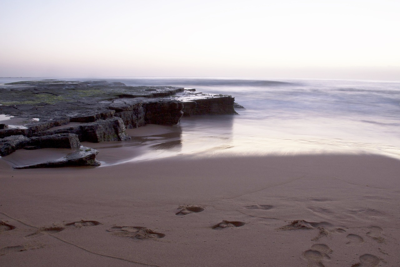 sea beach surf free photo