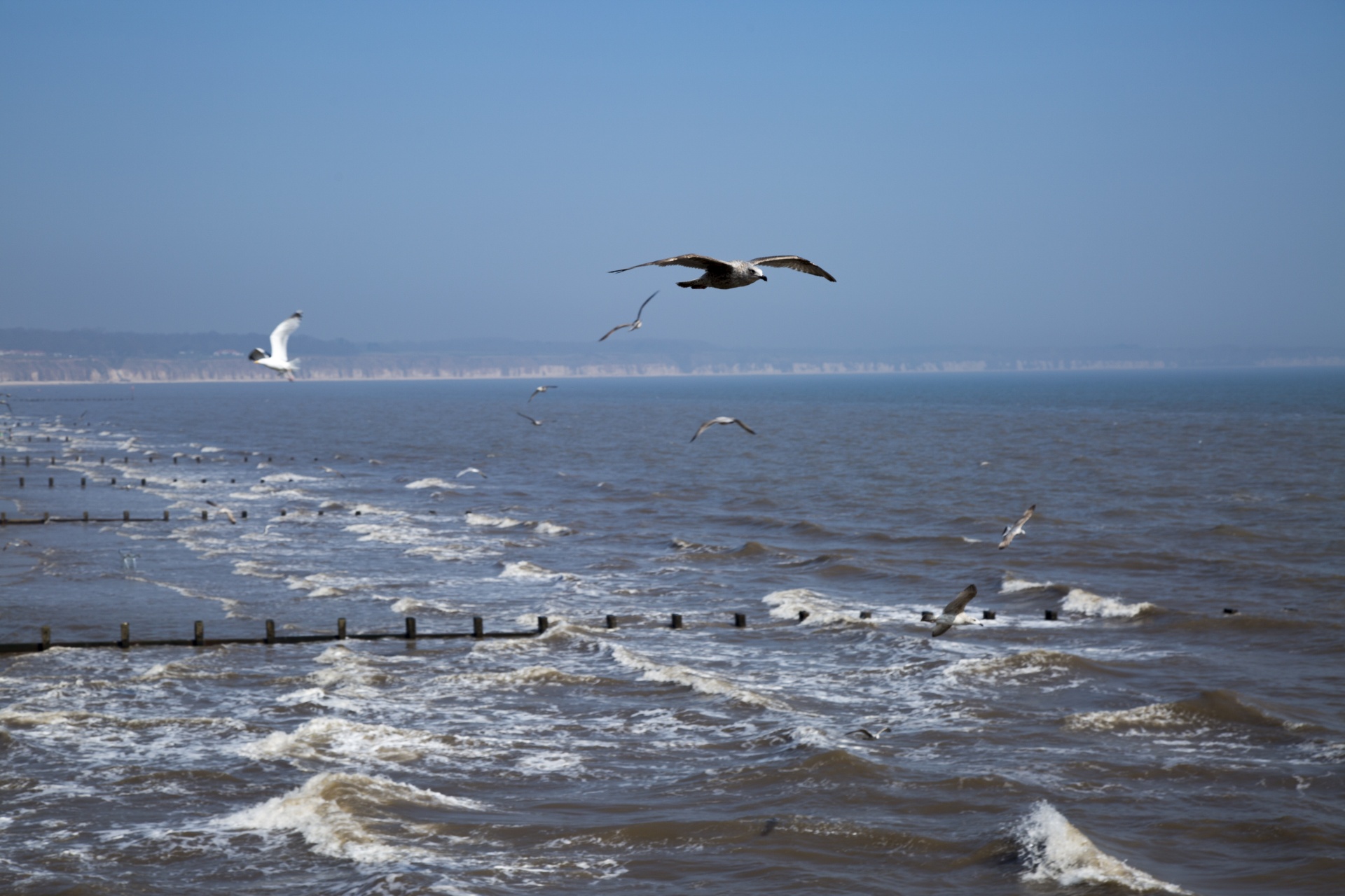 sea wave ocean free photo