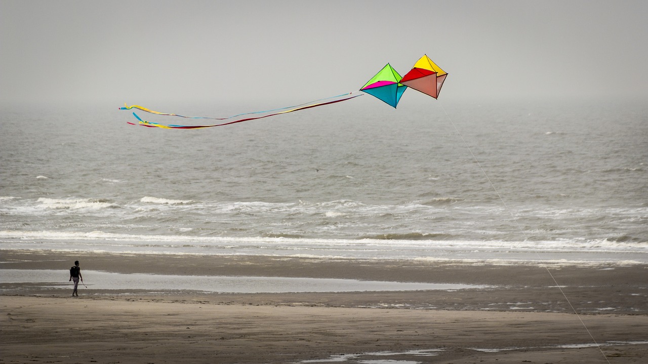 sea dragons north sea free photo