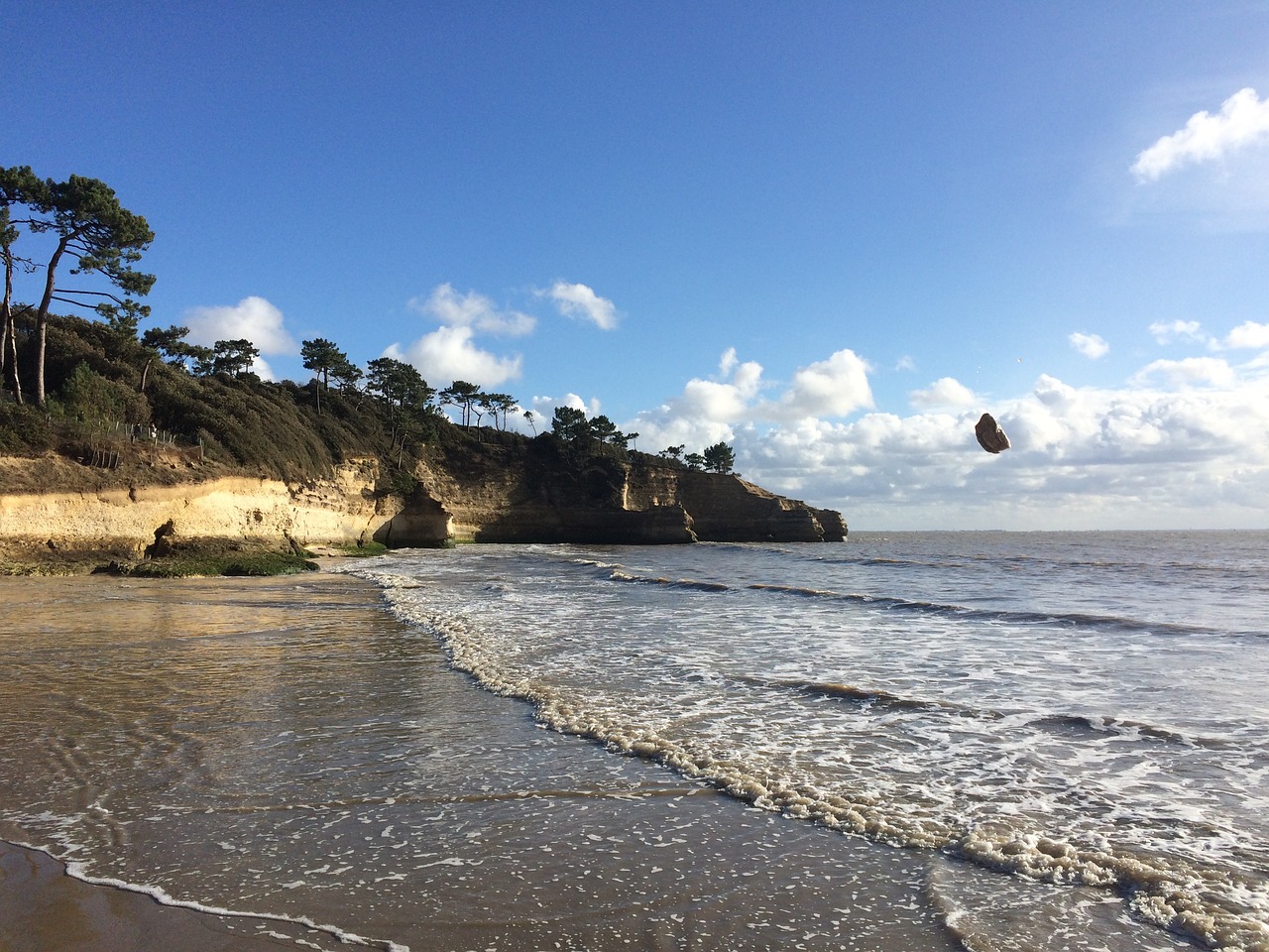 sea beach ocean free photo