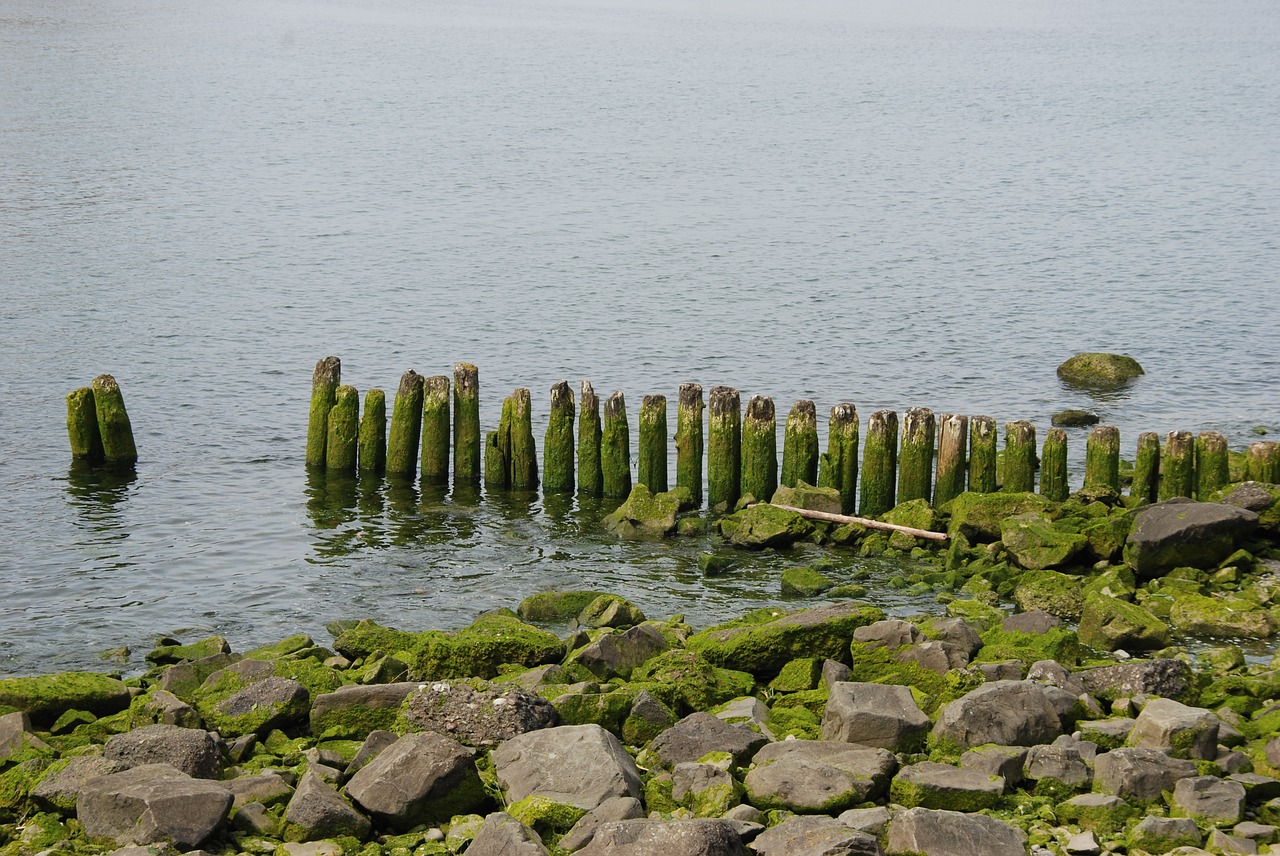 sea coast rock free photo