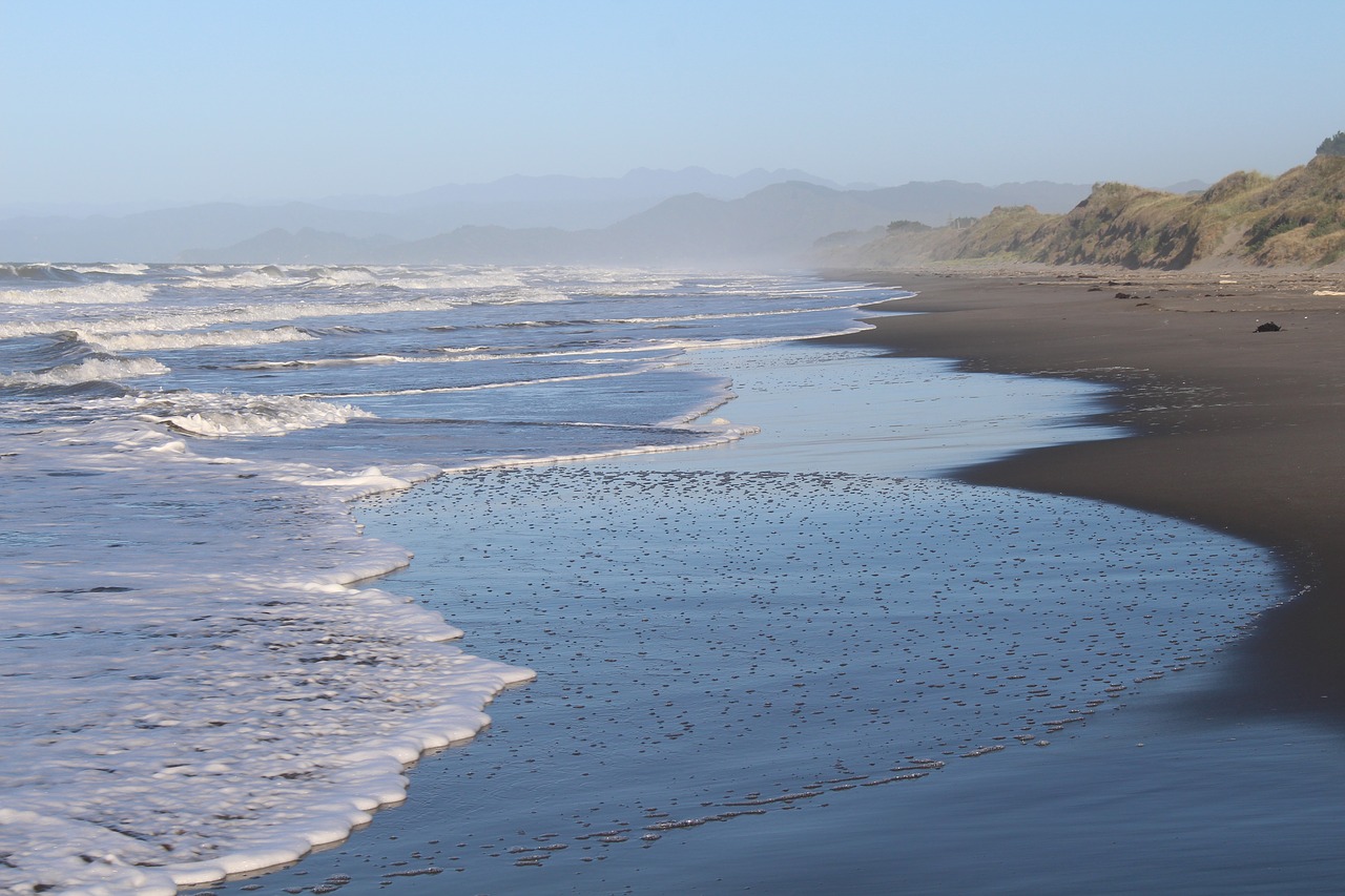 sea new zealand north island free photo