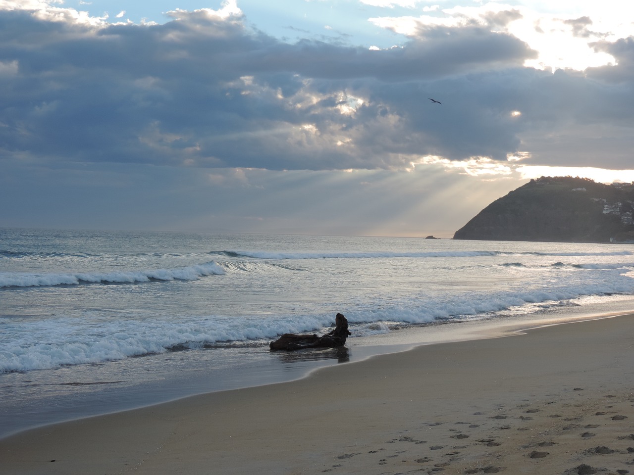 sea beach summer free photo