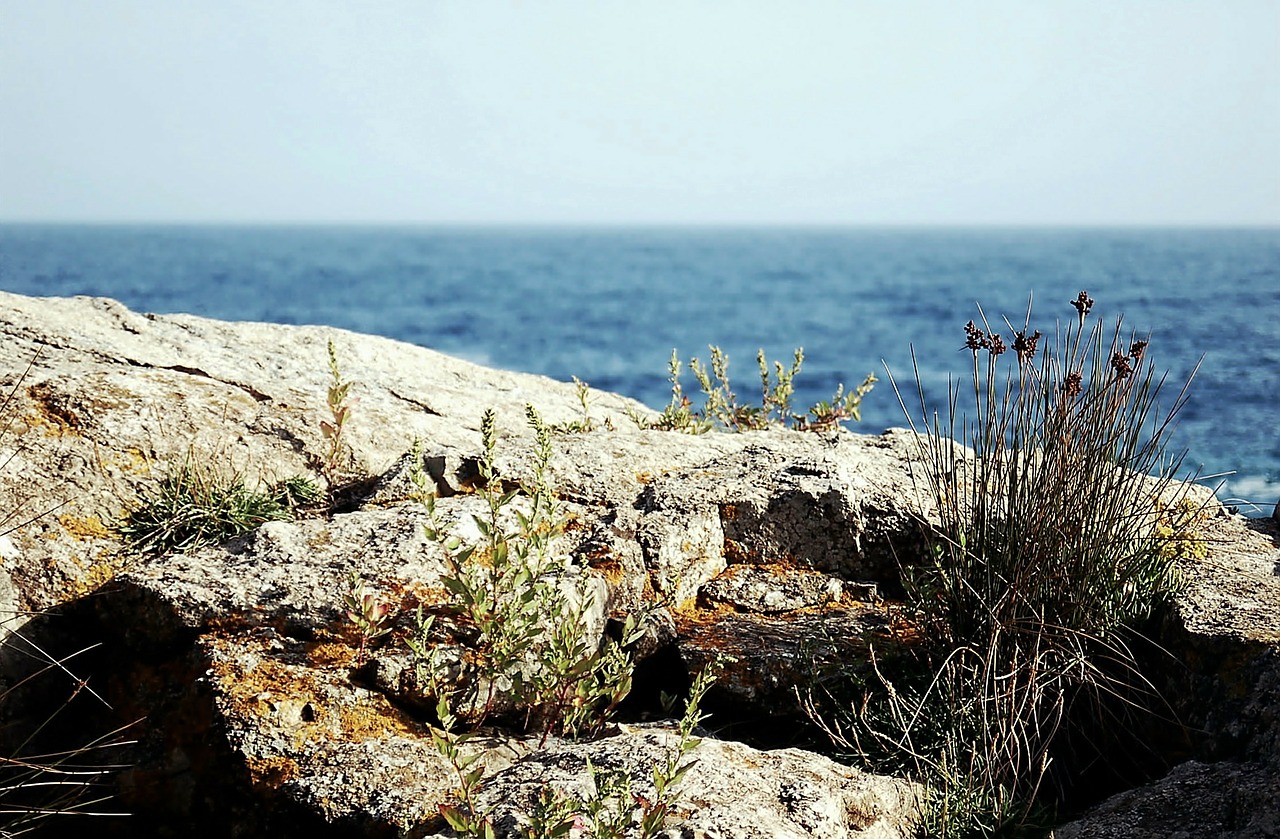 sea mediterranean sea nature free photo