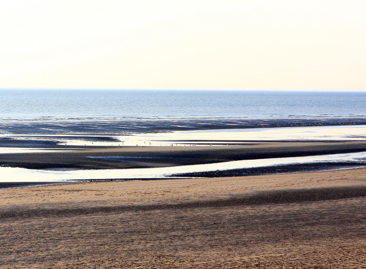 sea sand beach free photo