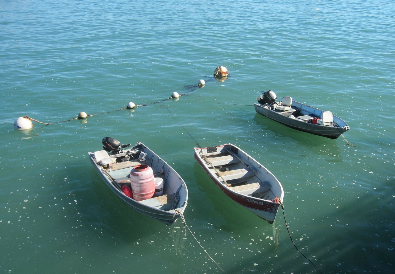 sea fishing boat ocean free photo