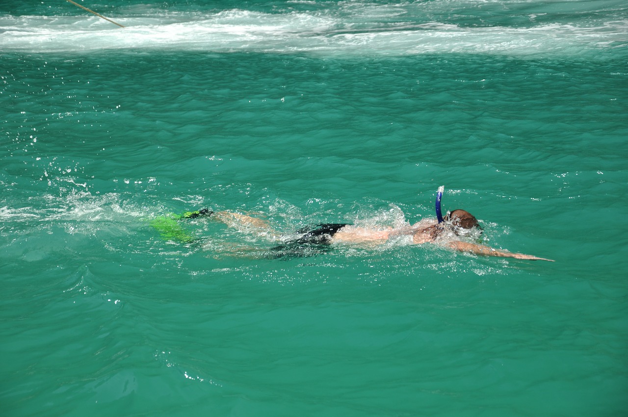 sea swimmer underwater free photo