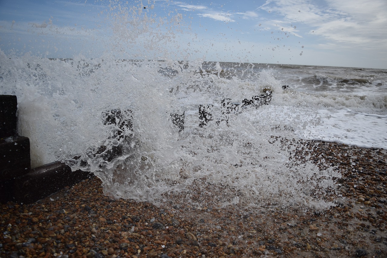 sea beach water free photo