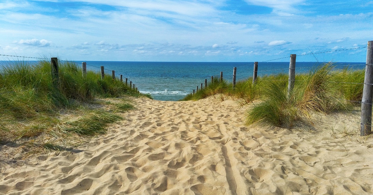 sea dunes dune grass free photo