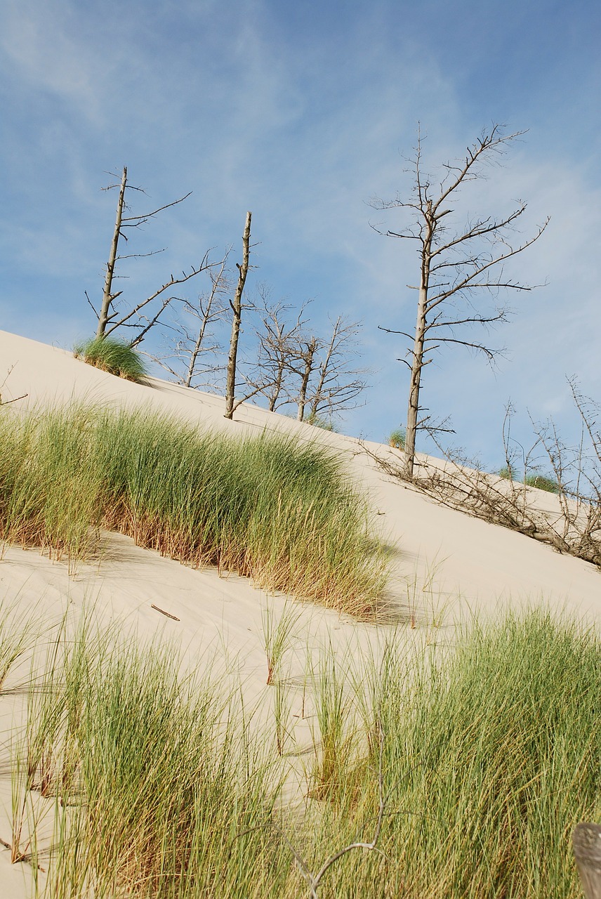 sea the sand dunes sand free photo