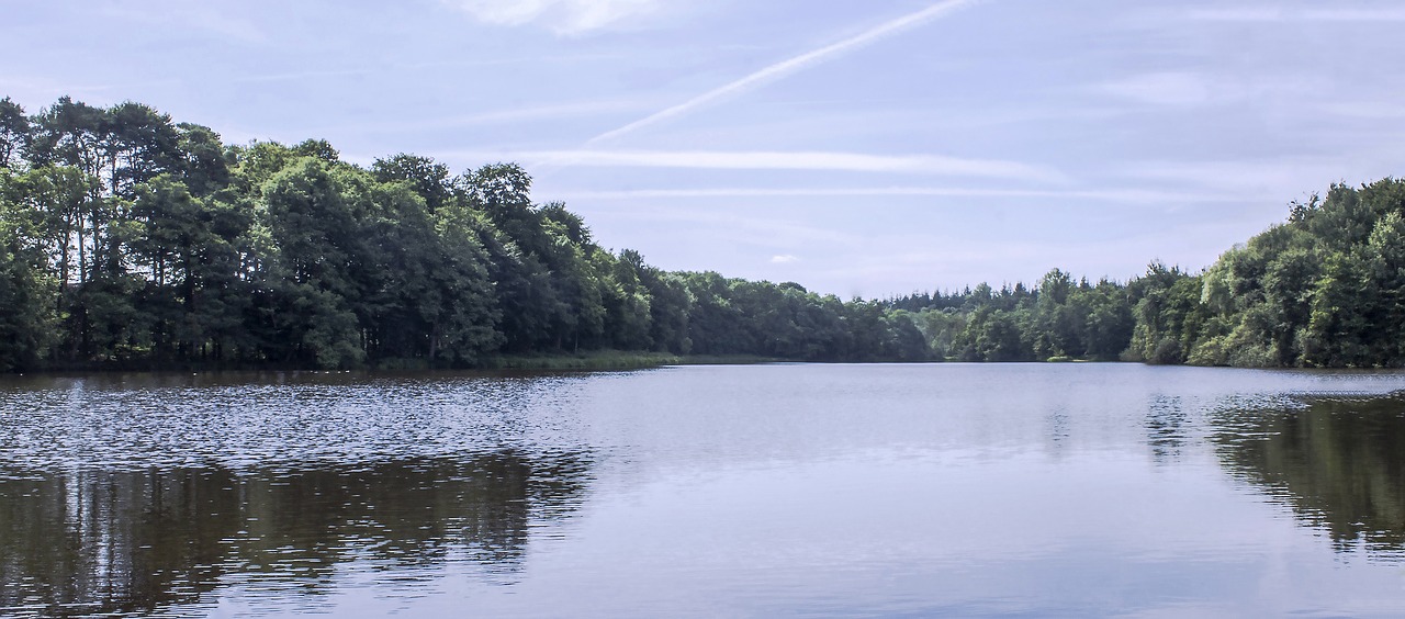 lake forest reflection free photo