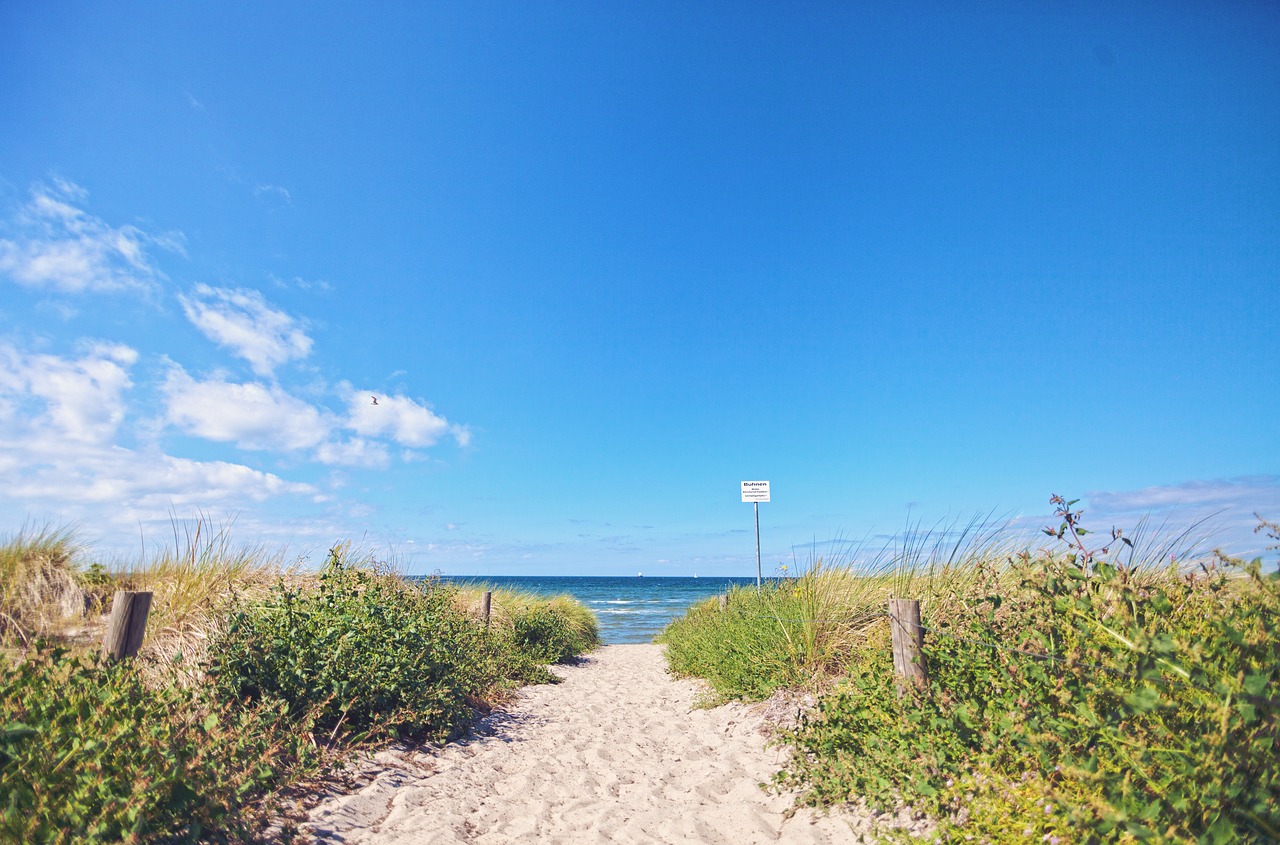 sea dunes beach free photo