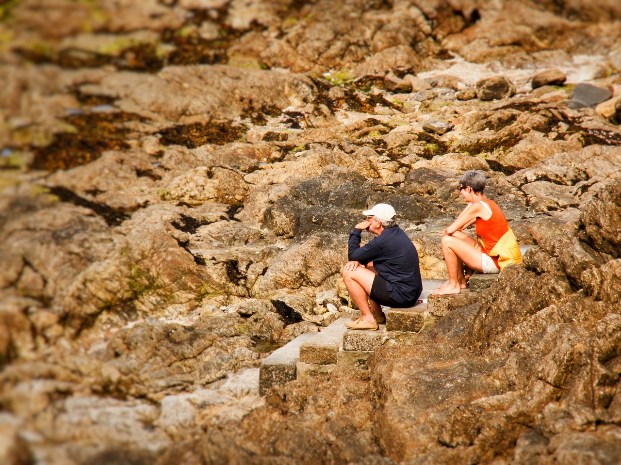 sea stony beach stones free photo