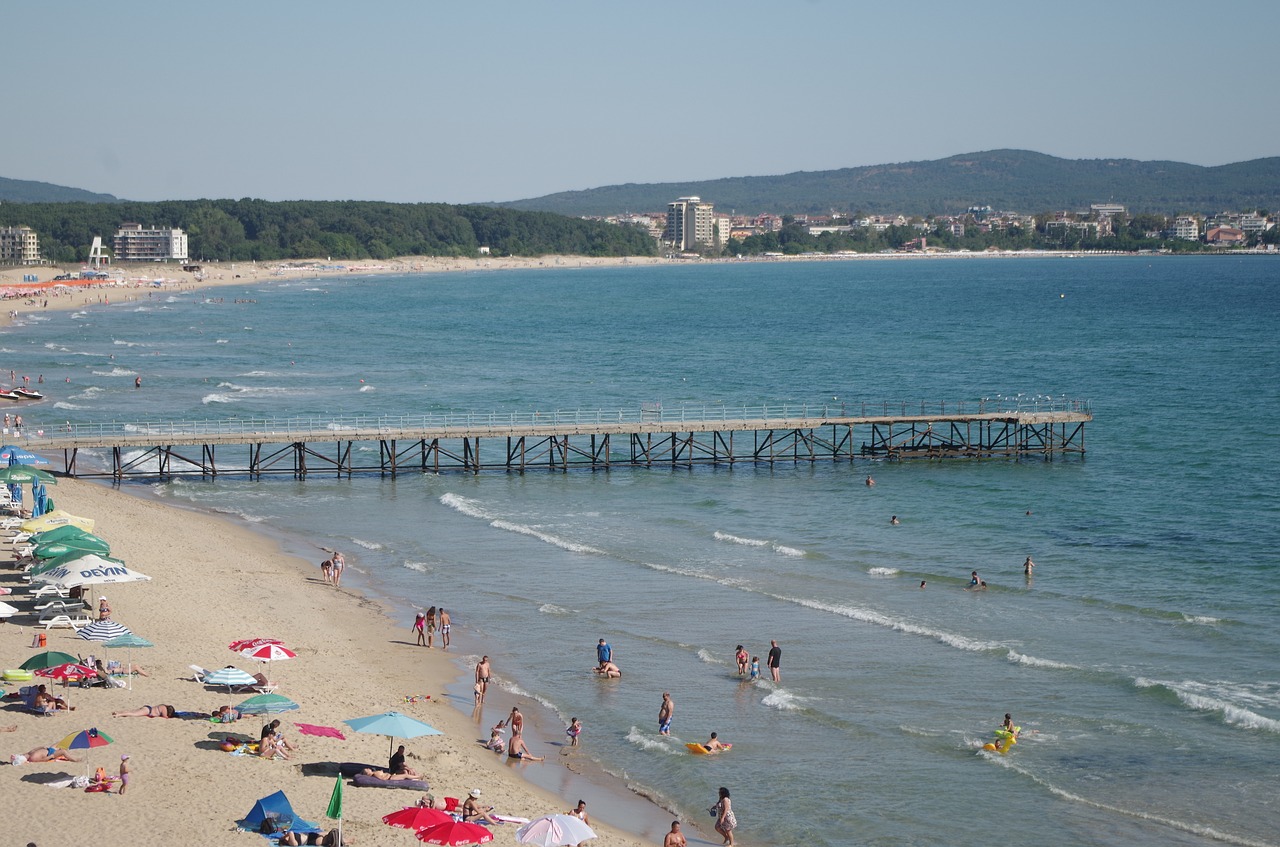 sea beach the pier free photo