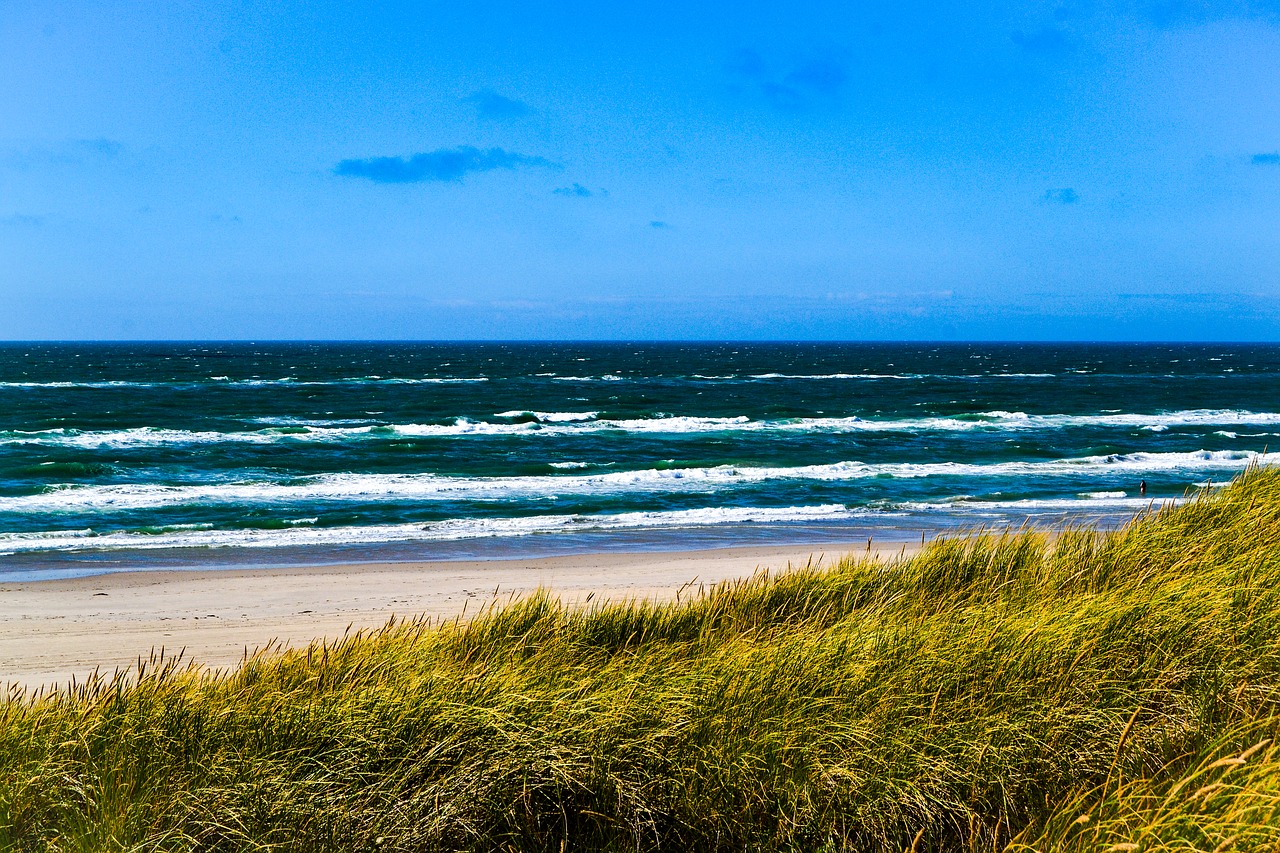 sea north sea dunes free photo