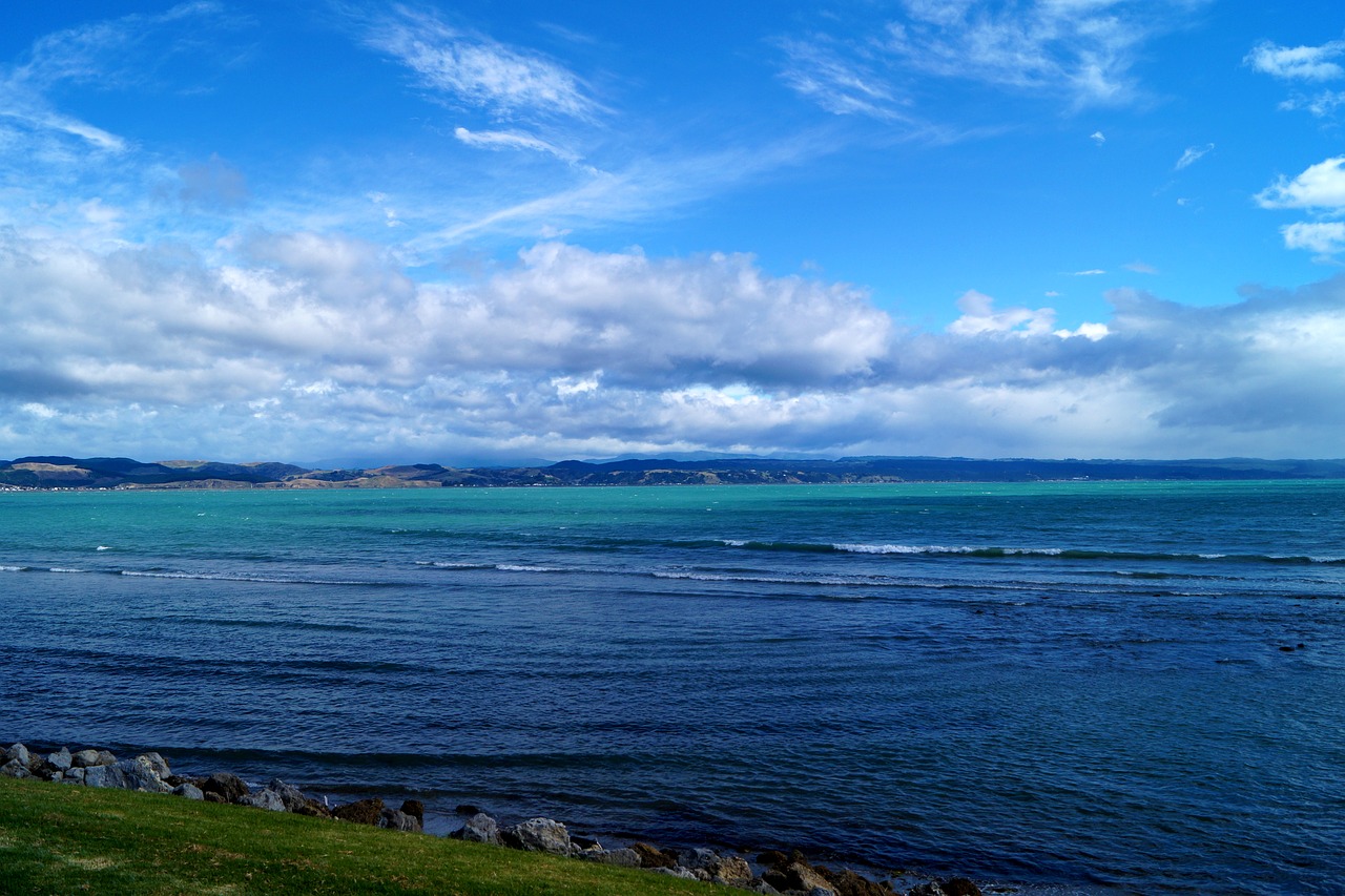 sea new zealand napier free photo