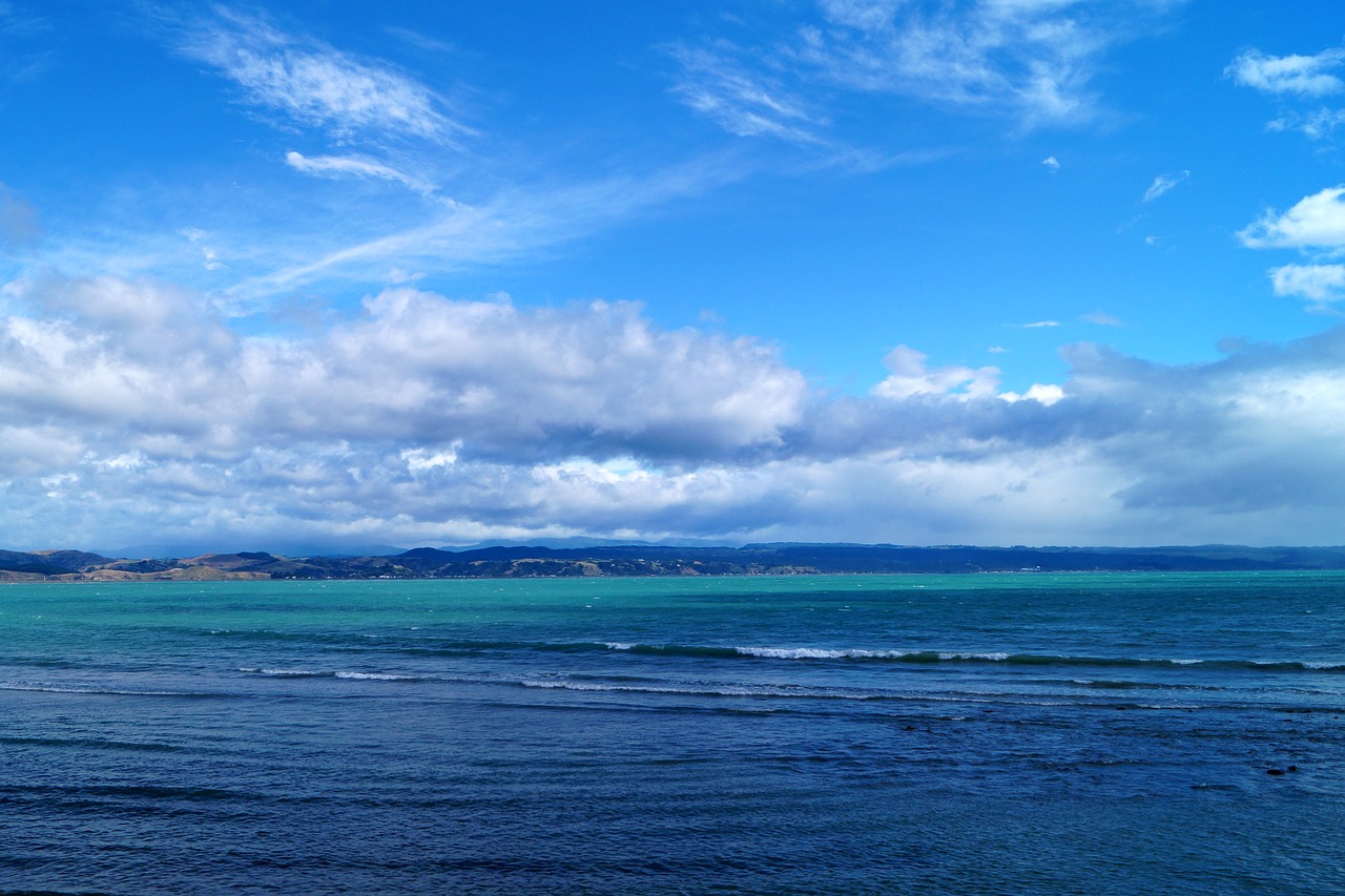 sea new zealand napier free photo