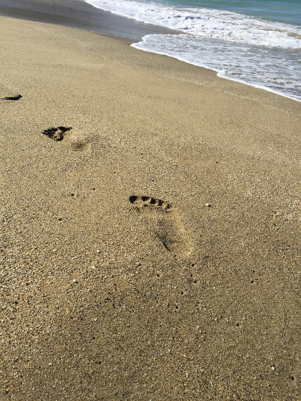 sea tracks prints free photo