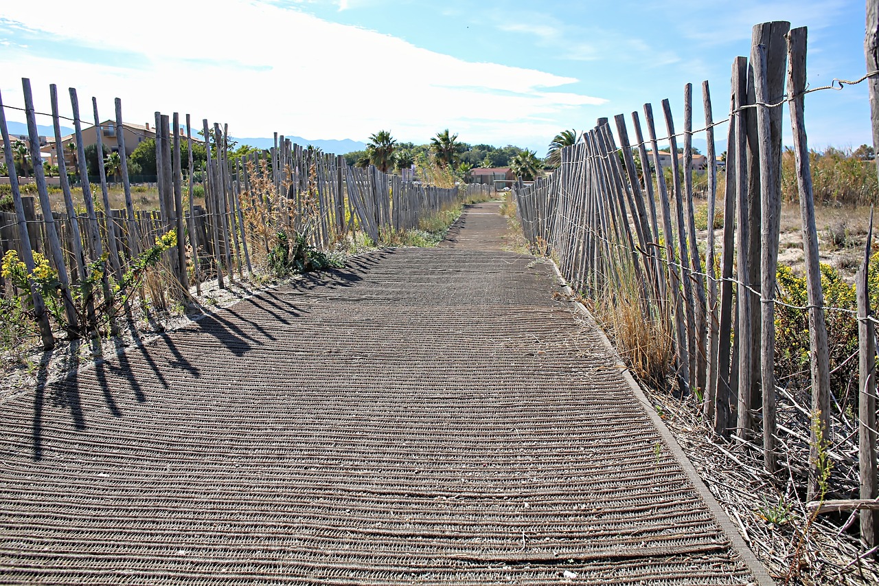 sea sand palisade free photo