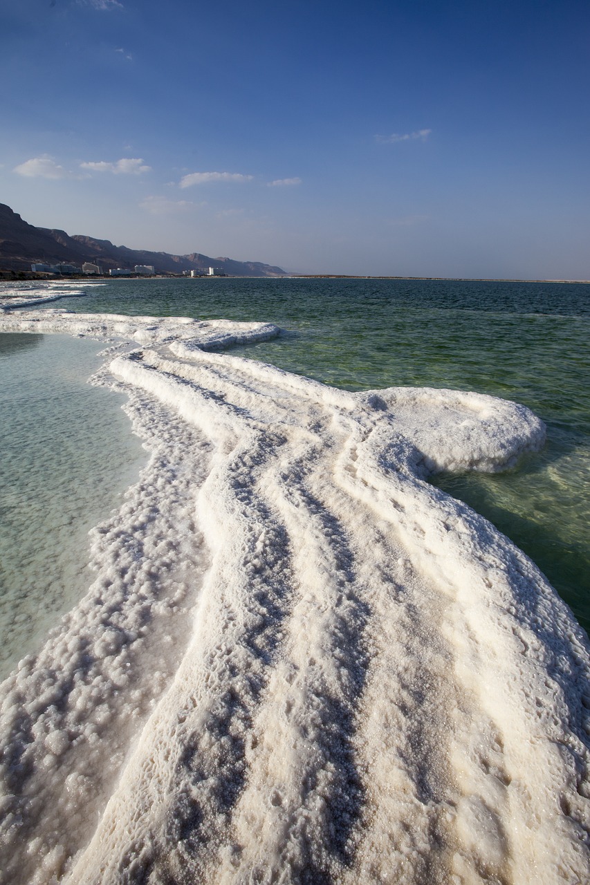 sea dead sea dead free photo