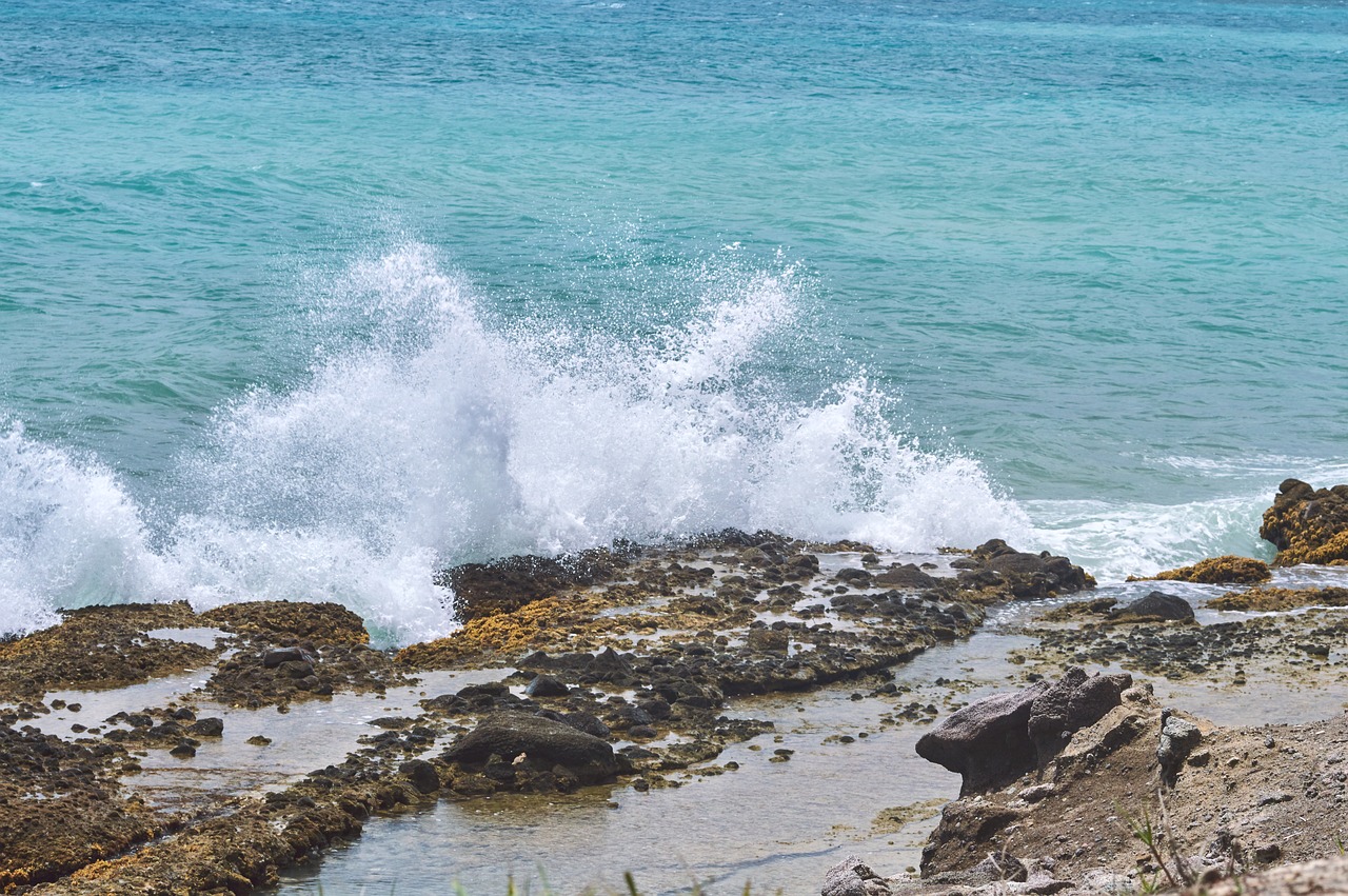 sea beach water free photo