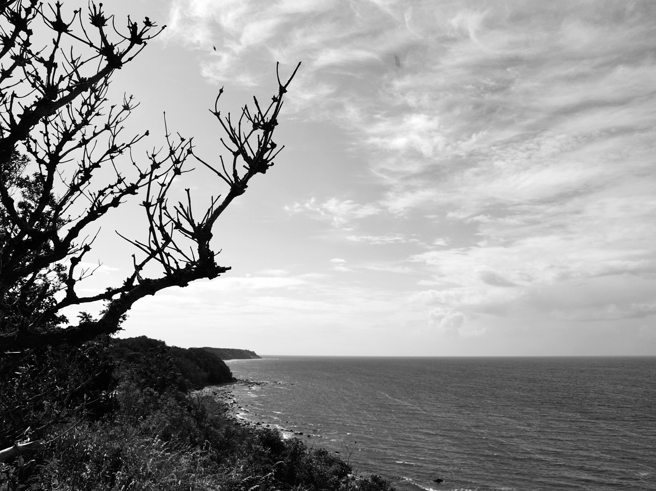 sea baltic sea coast free photo