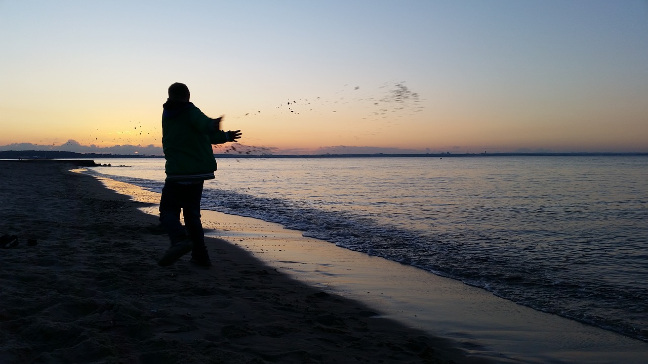 sea baltic sea beach free photo