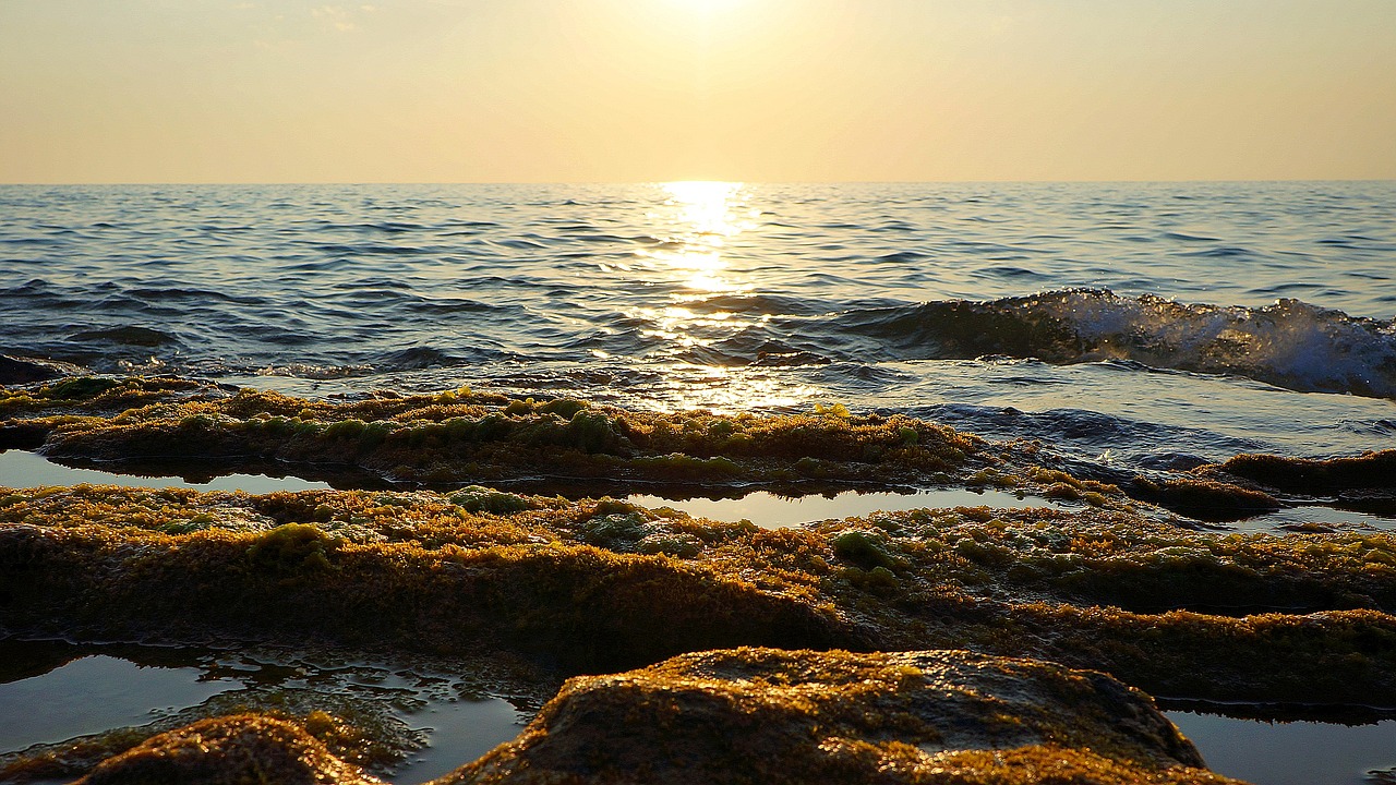 sea marine sunset landscape free photo