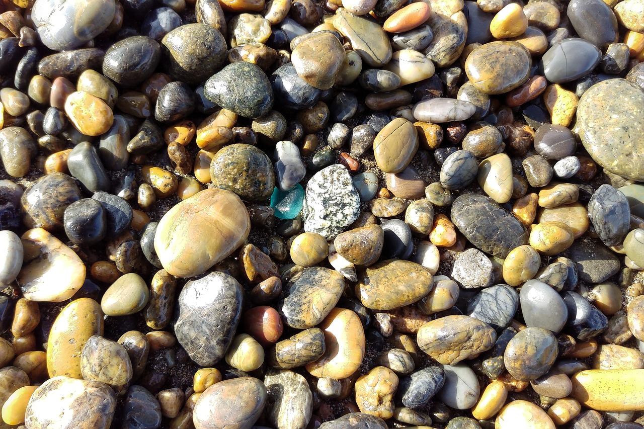 sea beach pebbles free photo