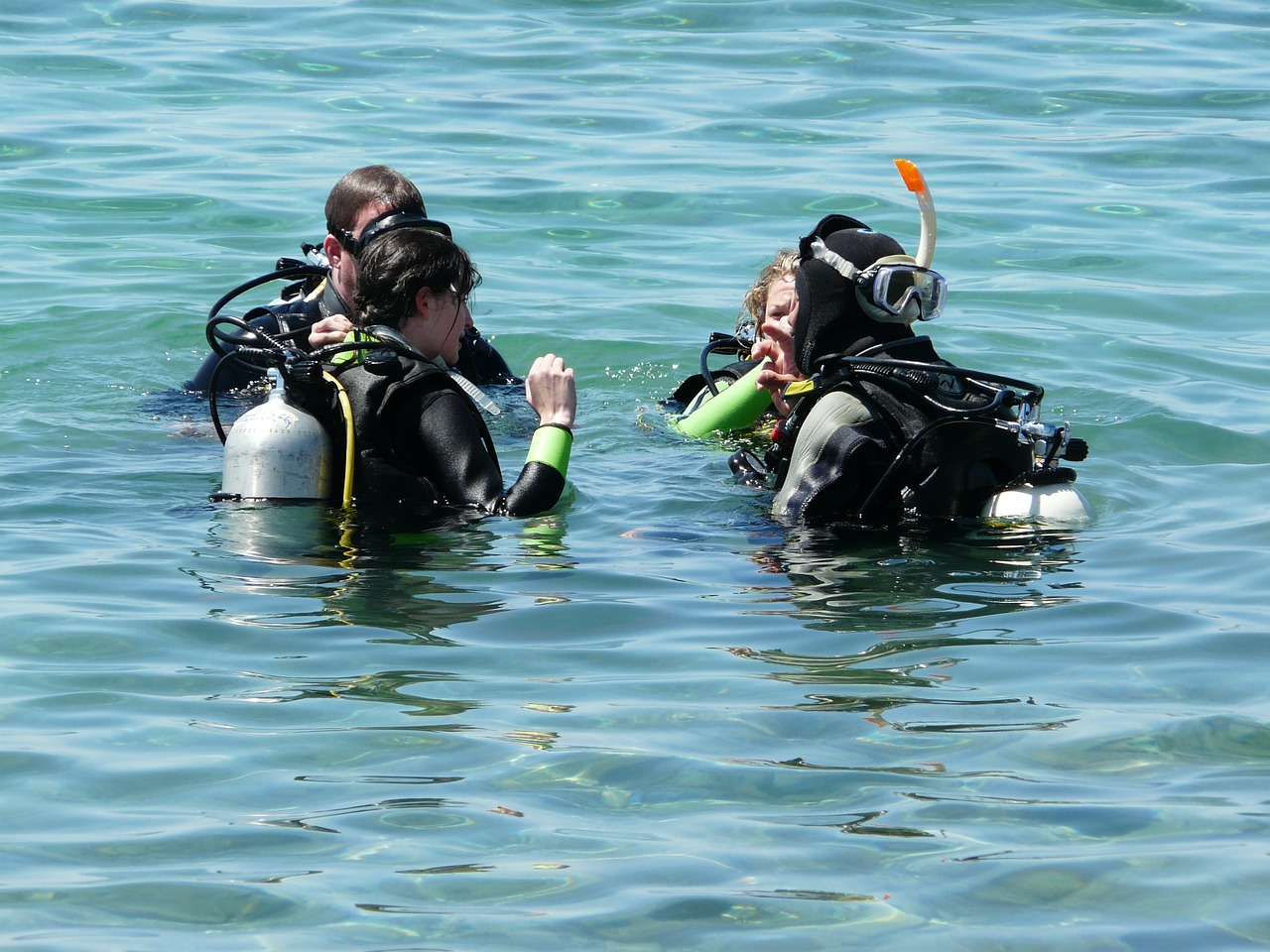 sea divers diving free photo