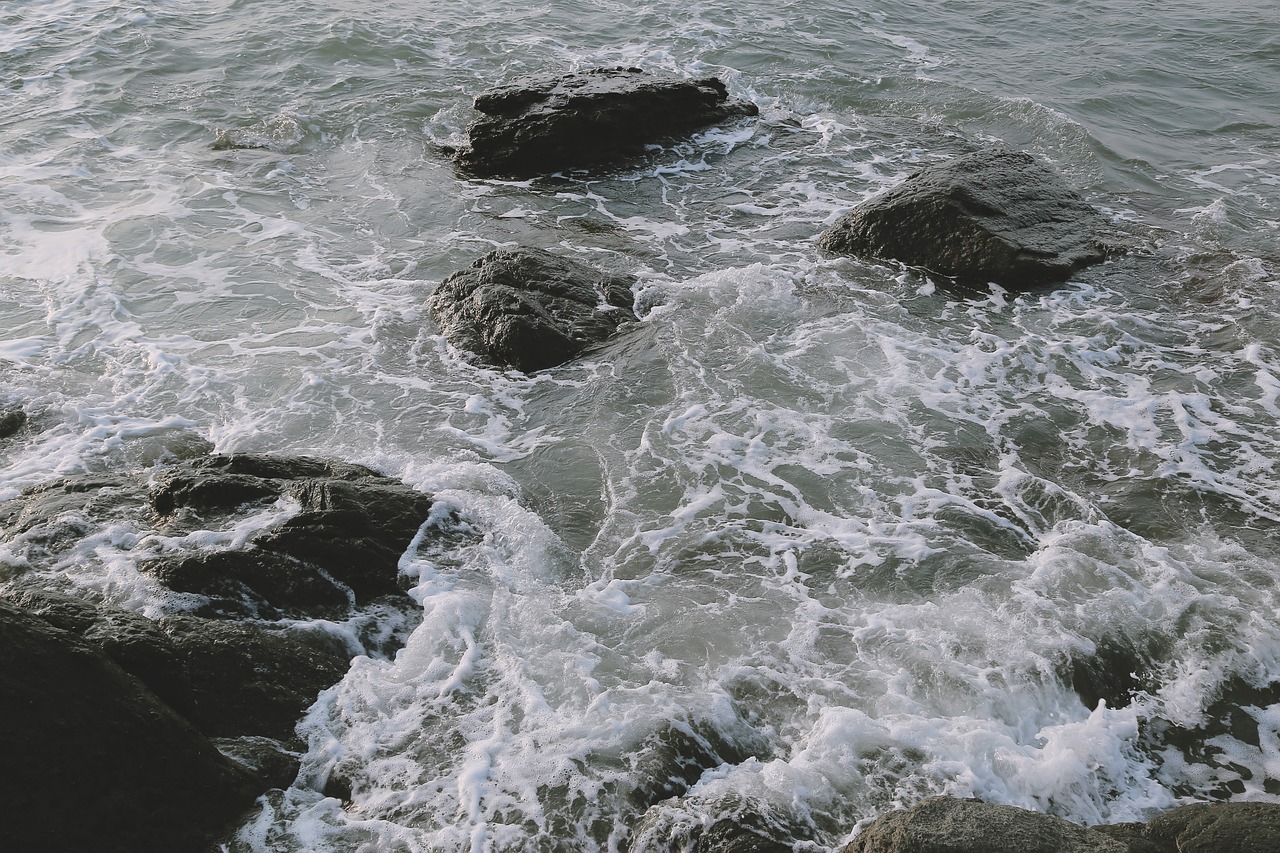 sea waves daecheon beach free photo