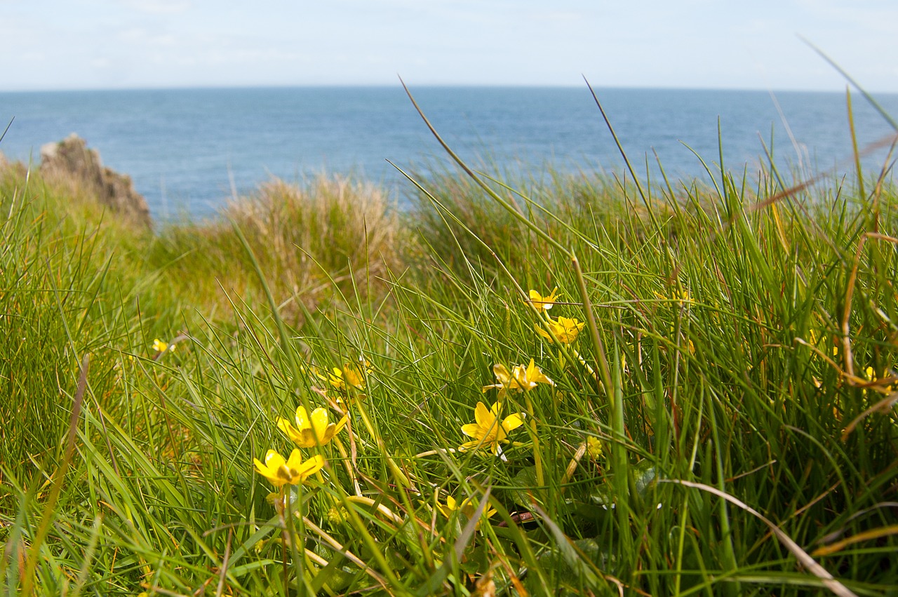 sea sky dumfries and galloway free photo