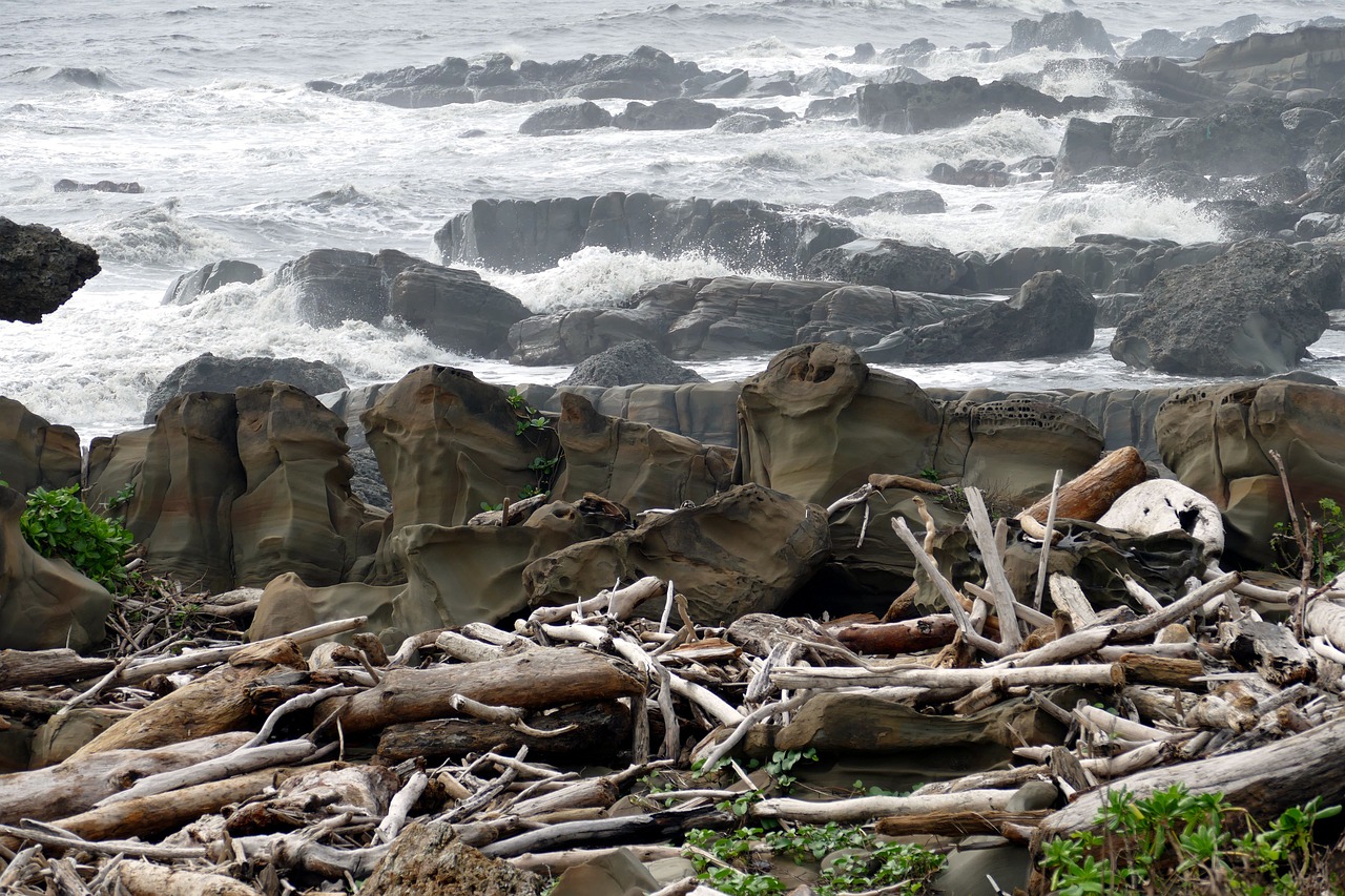 sea coast rock free photo