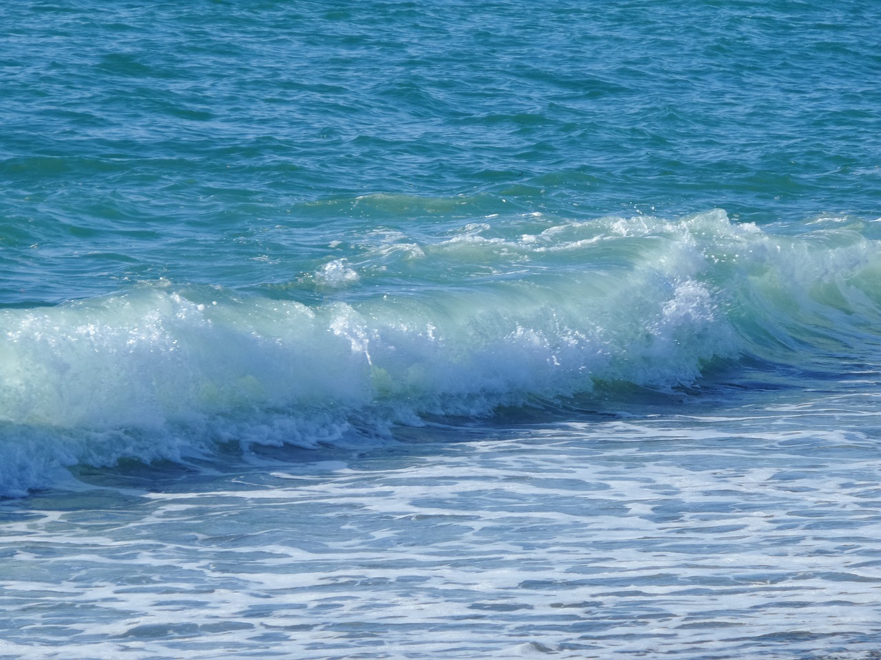 sea wave blue free photo