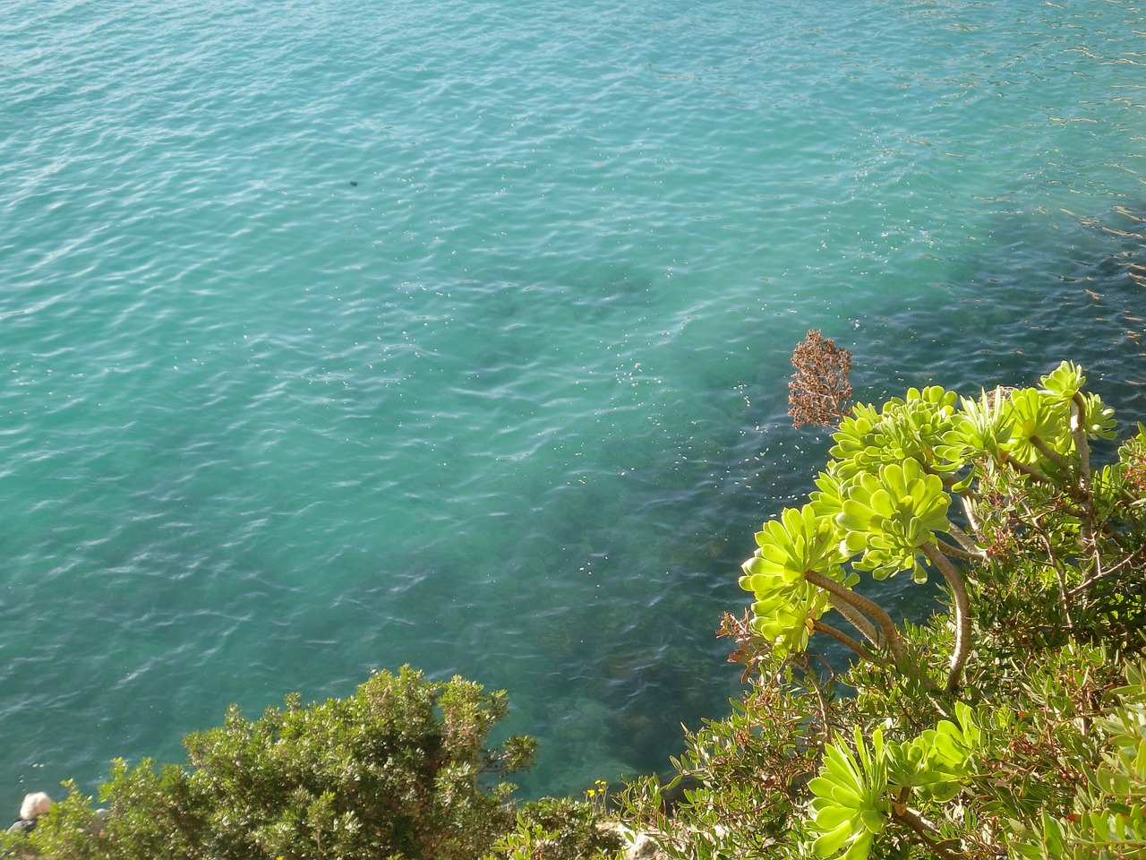 sea coast mediterranean free photo