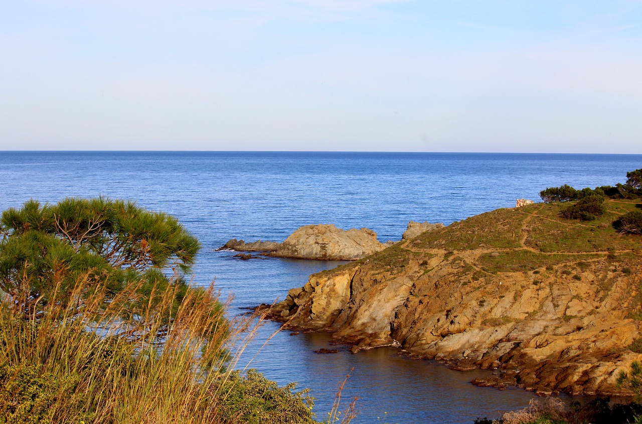 sea creeks rock free photo