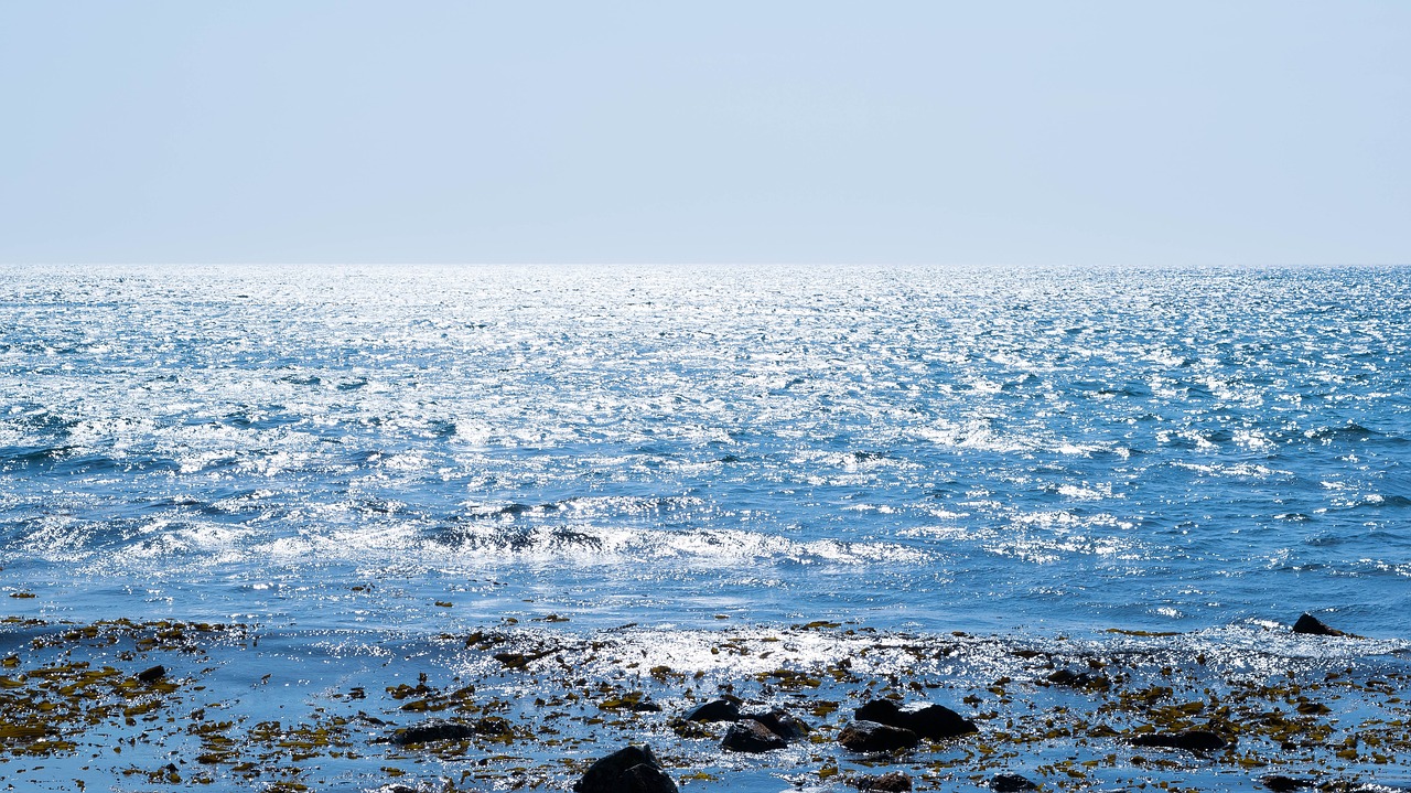 sea sunlight seascape free photo