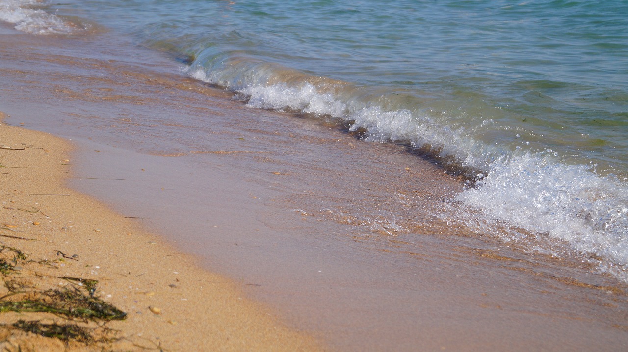 sea wave beach free photo