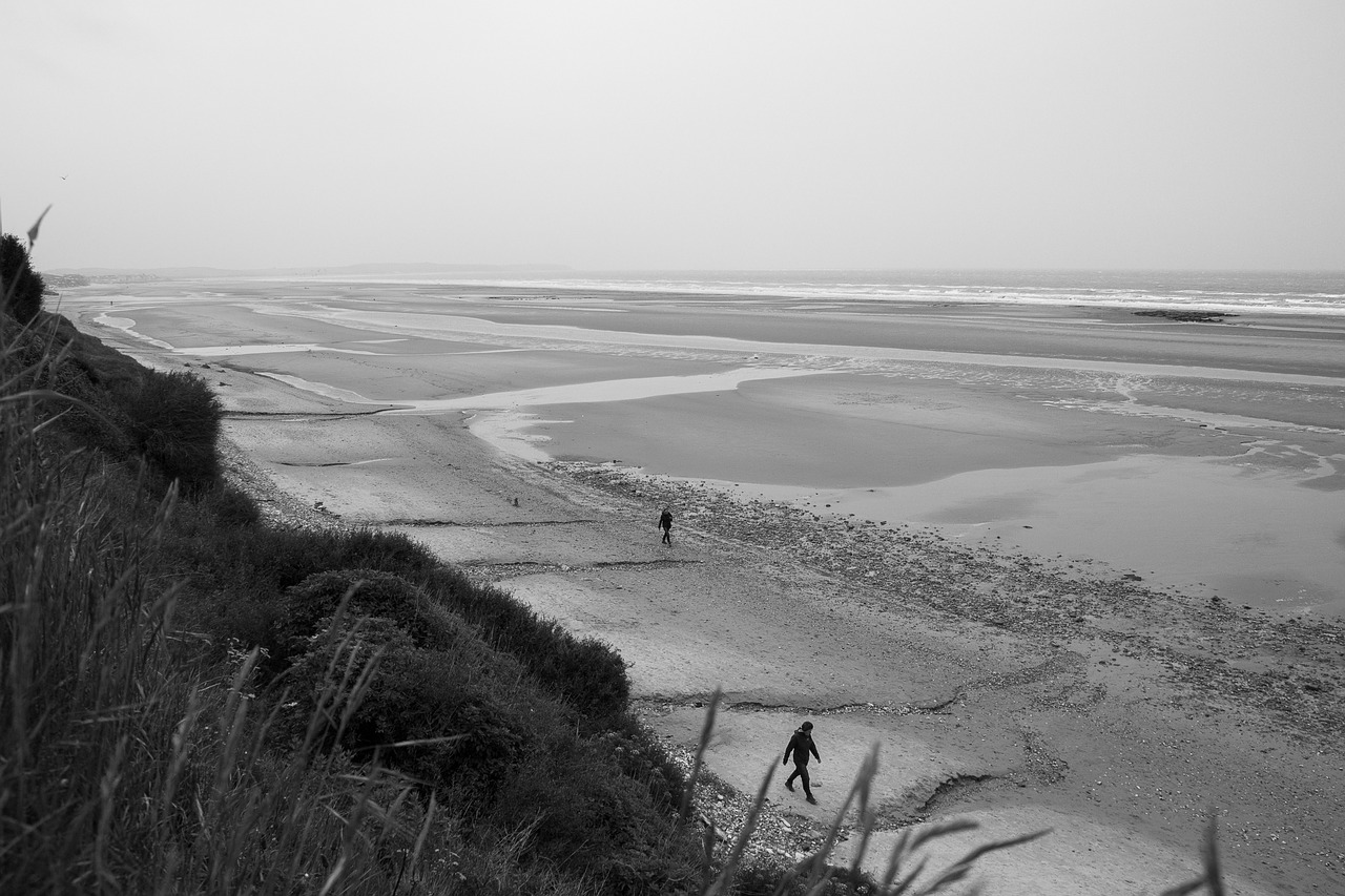 sea landscape beach free photo