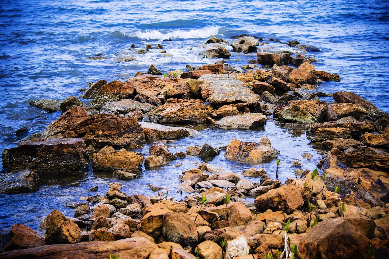 sea rocks cliff free photo